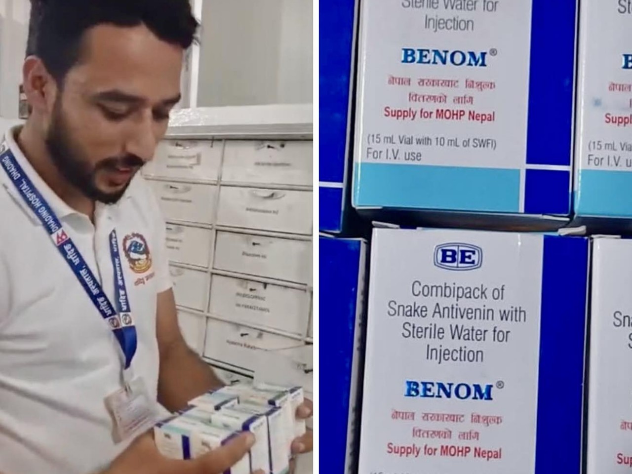 धादिङ अस्पतालमा सर्पदंश उपचार सेवा सुरु, एन्टि स्नेक भेनम उपलब्ध